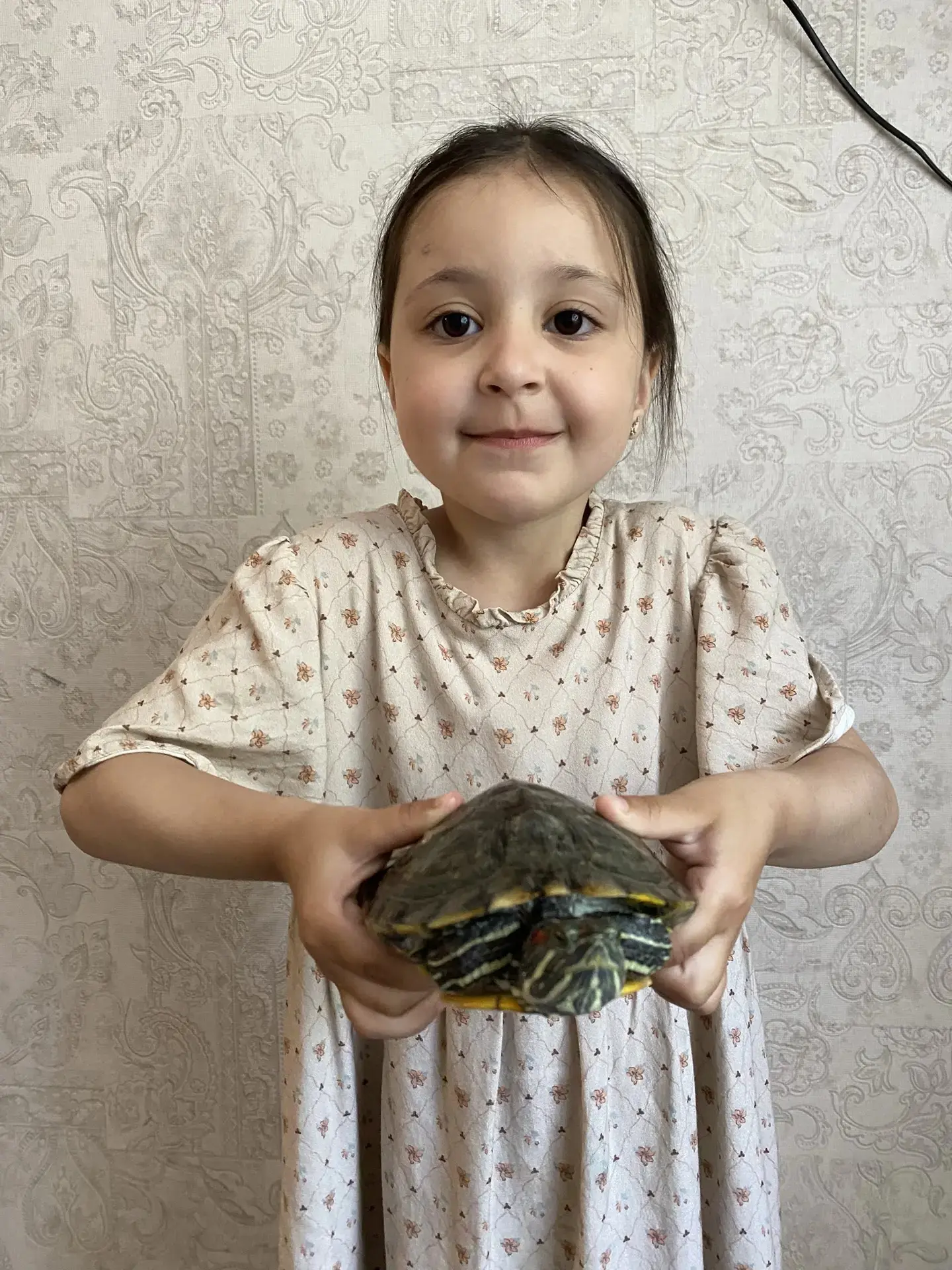 Кого только не встретишь во время прогулки. Ребята с увлечением наблюдают за улитками, бабочками,чер