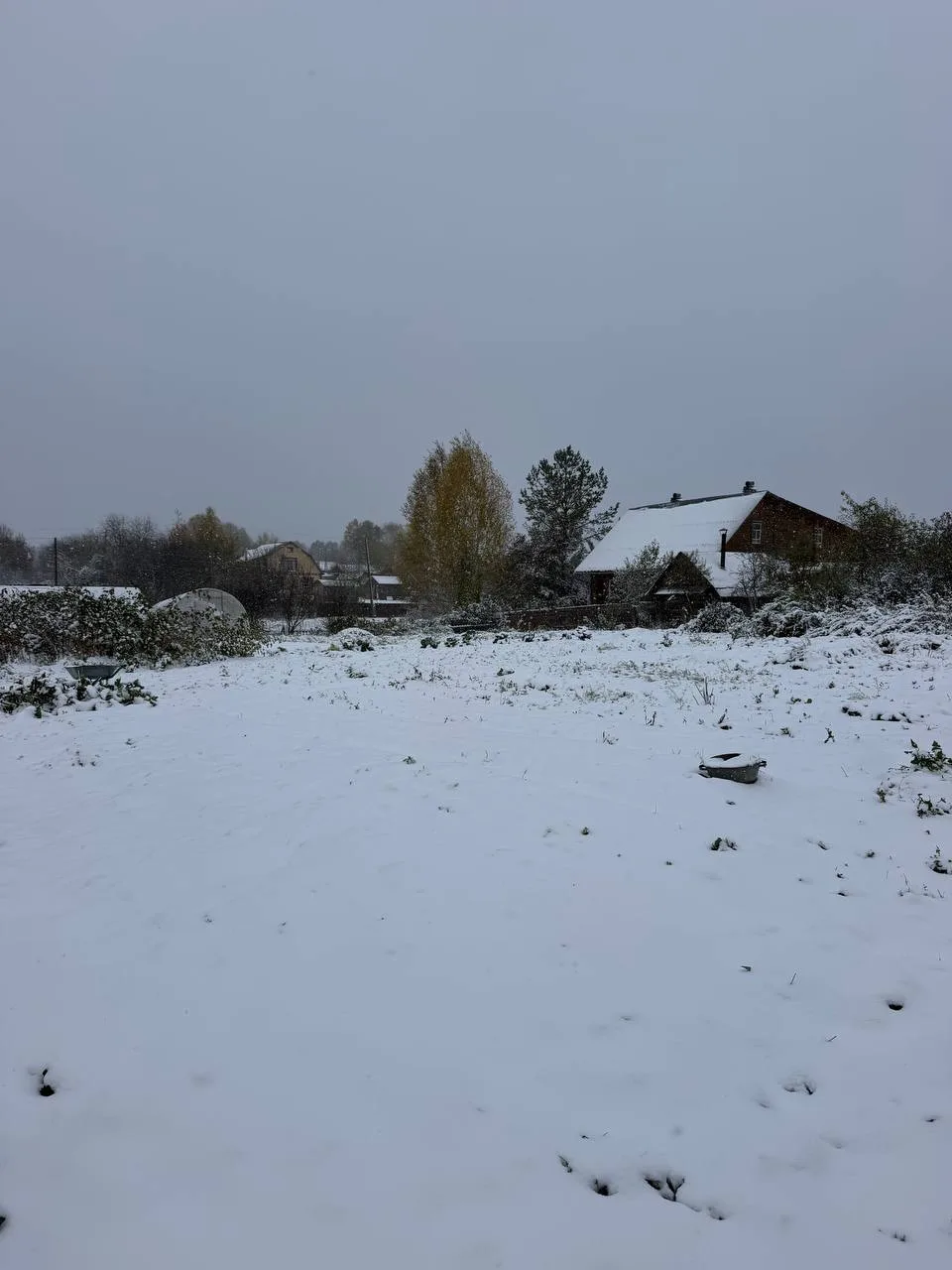 В Пермском крае высота снежного покрова достигла 13 сантиметров.