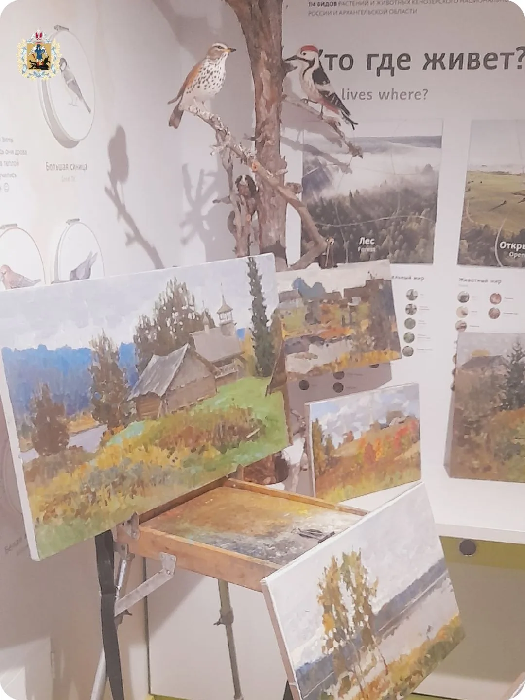 🍁🎨 В Кенозерском нацпарке завершилась творческая экспедиция, приуроченная к 150-летне...
