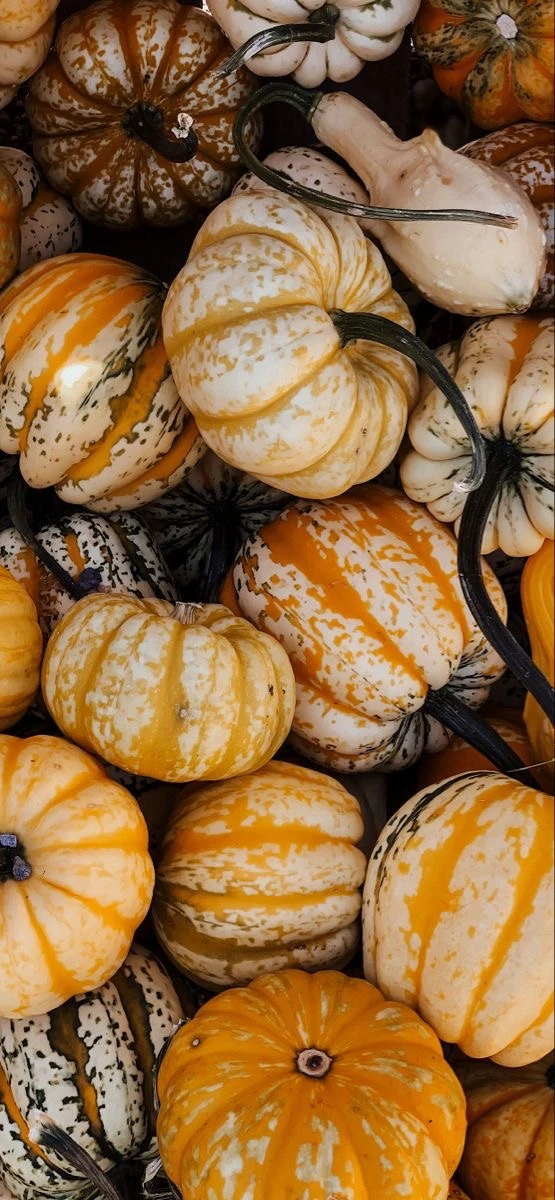 Осенние фоны 🥐🍂🤎