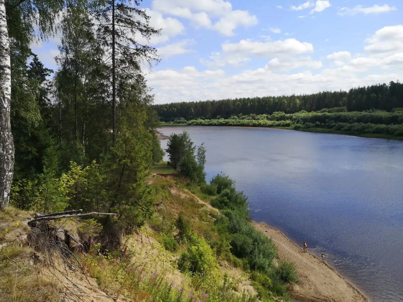 🌸 Летние моменты нашей коллеги Александры Шушкановой 💗 Красота! Доброе утро ☀️