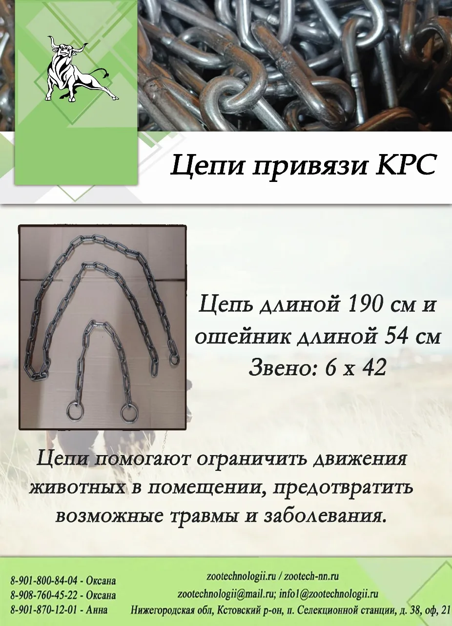 🐮 Зафиксируйте корову без травм: цепь привязи 190 см + ошейник 54 см