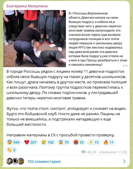 ⚡️Екатерина Мизулина сообщила об избиении школьницы на глазах у толпы в Воронежской обл...