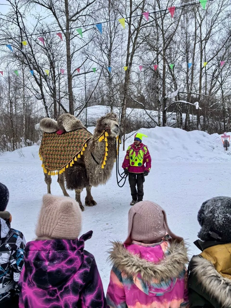 Масленичные приключения по классам + суперпобедители! 🌞🛷🥇Масленица в «Гимназии №1» г. Перми — это не
