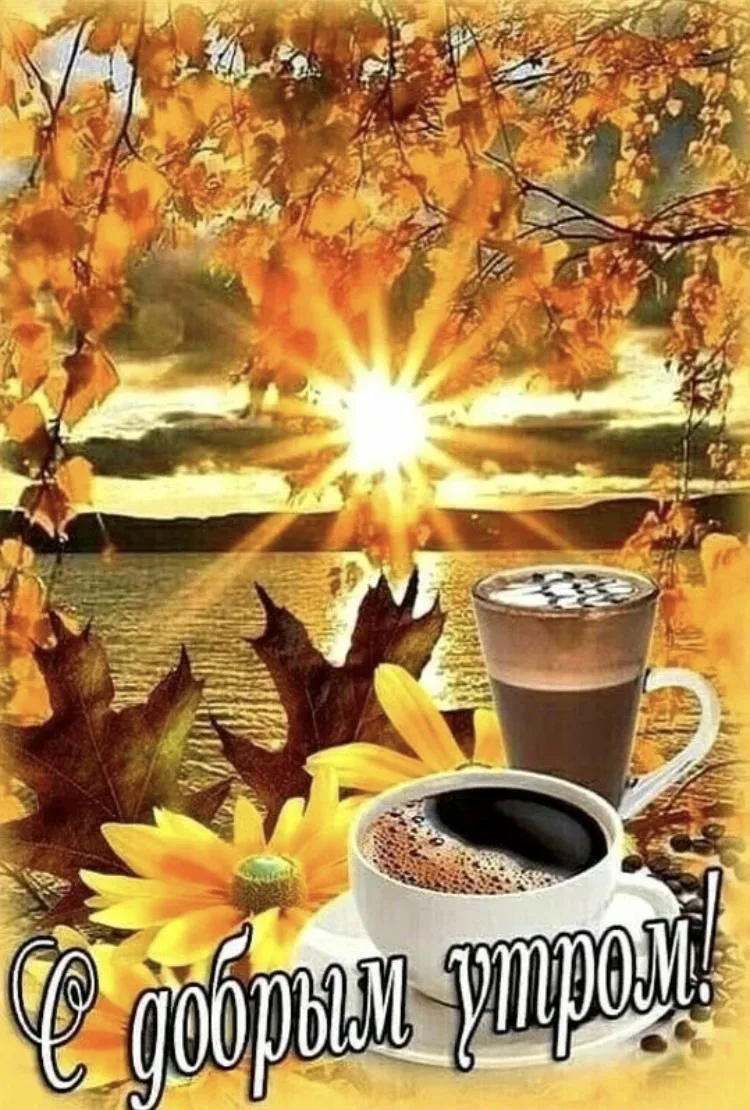 🍂 7 октября.