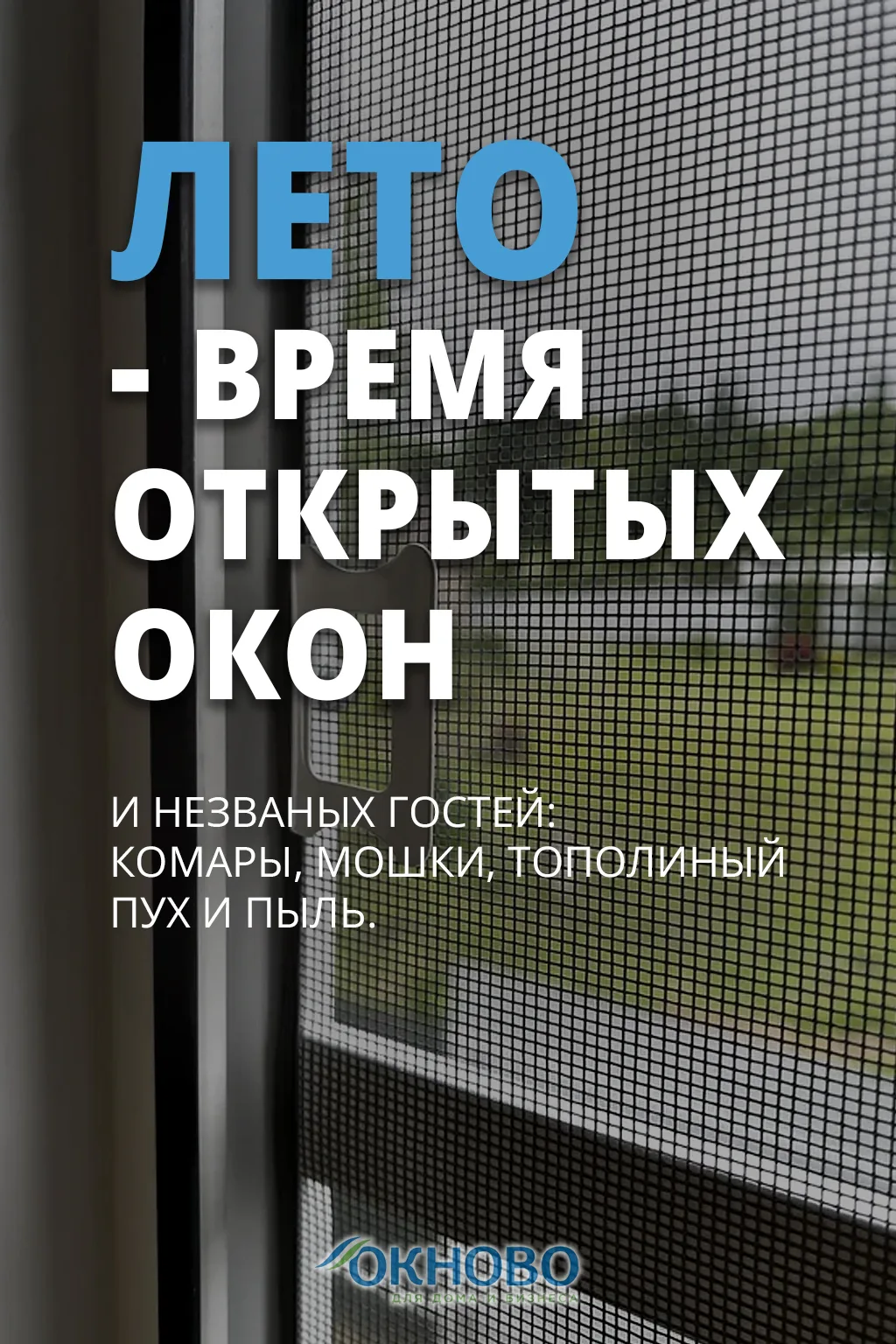 🦟 Лето — время открытых окон… и незваных гостей! 🪰

Вы открываете окно, чтобы впустить свежий возд