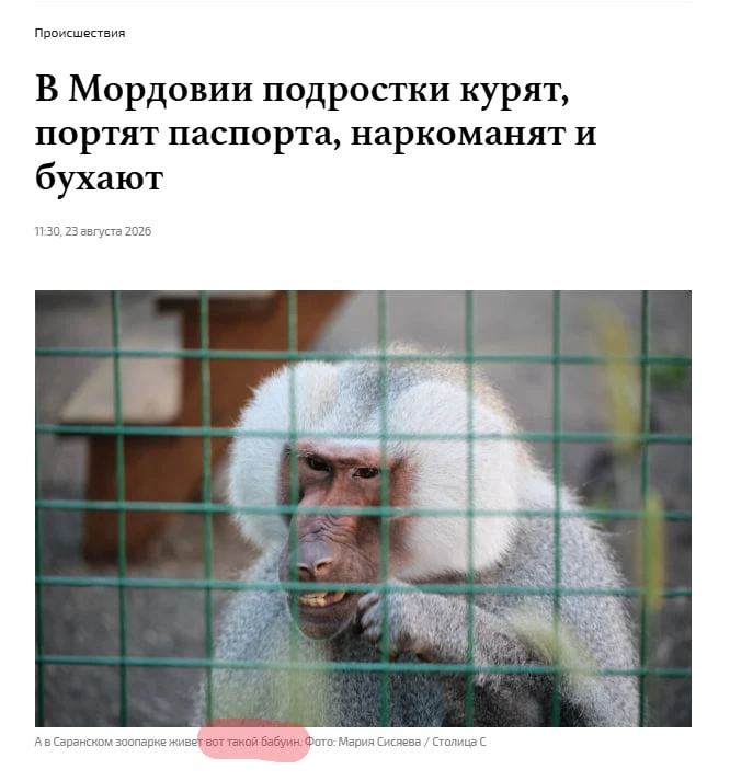 Сейчас кого обидели, подростков или бабуина?