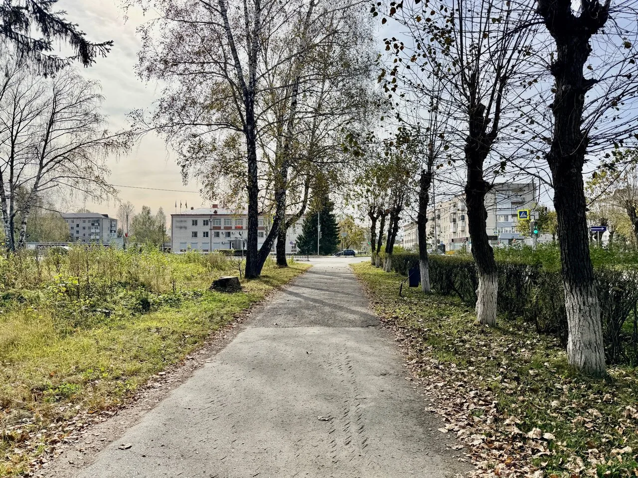 Доброе утро, !