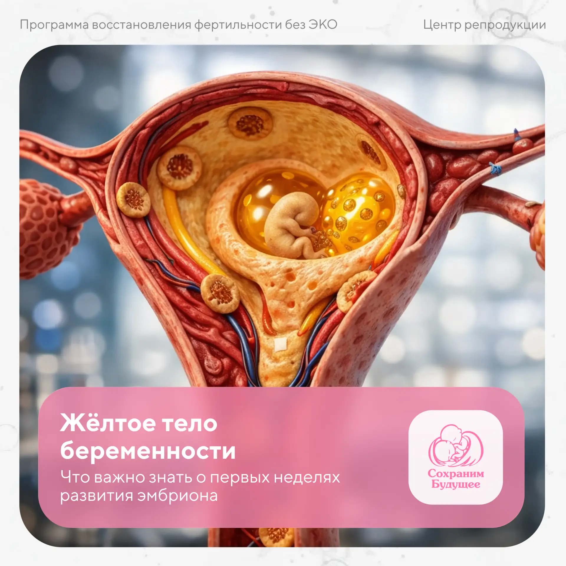 🔬 Важное открытие прогестерона — одного из ключевых гормонов беременности — напрямую с...