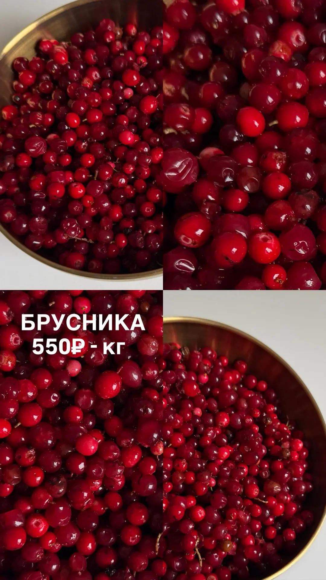БРУСНИКА