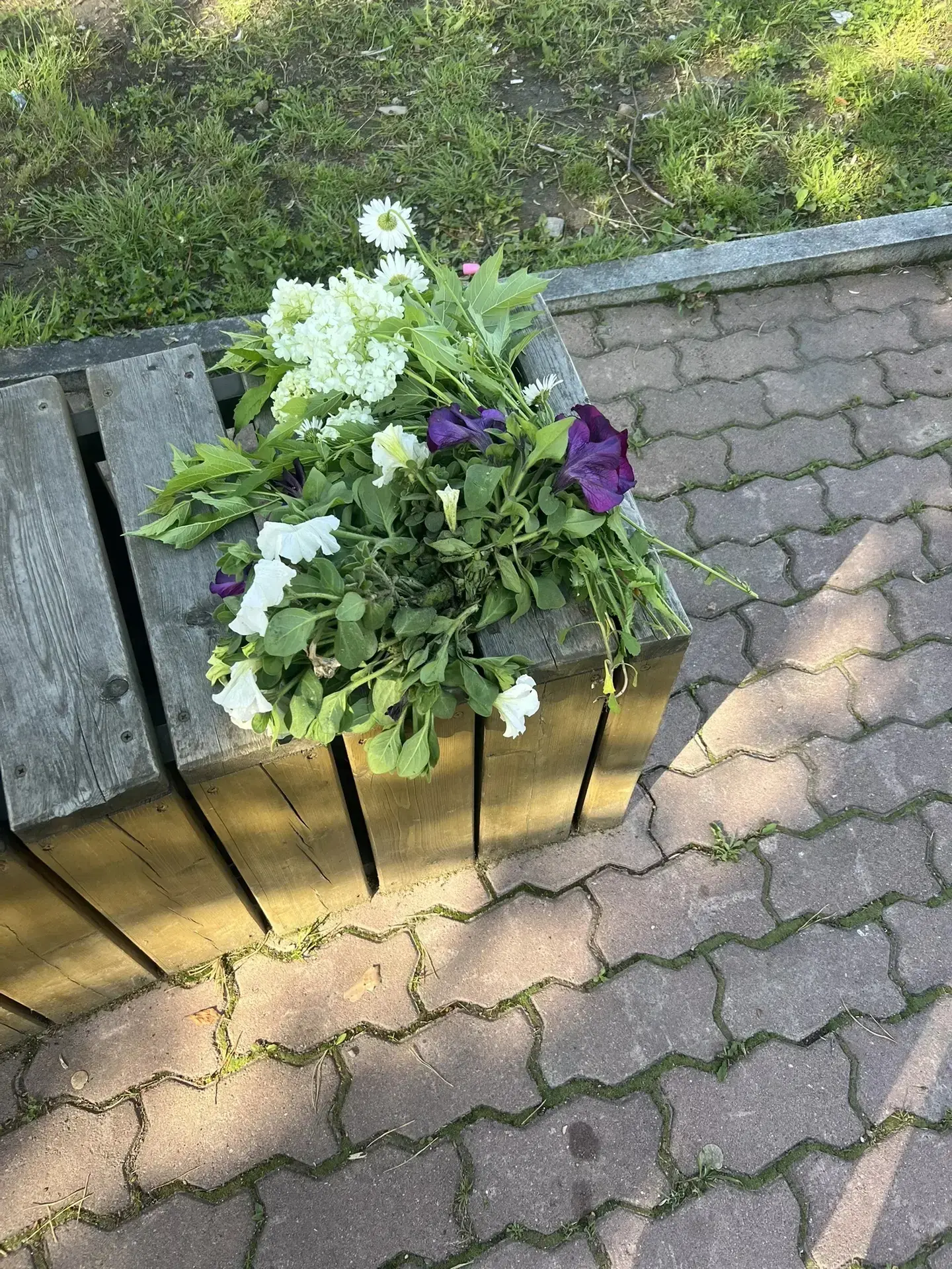Цветы должны цвести на клумбах