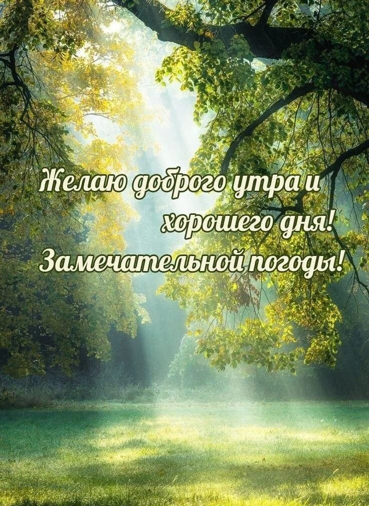 С добрым утром!

Канал «Чердак сознания»
Подпишись!