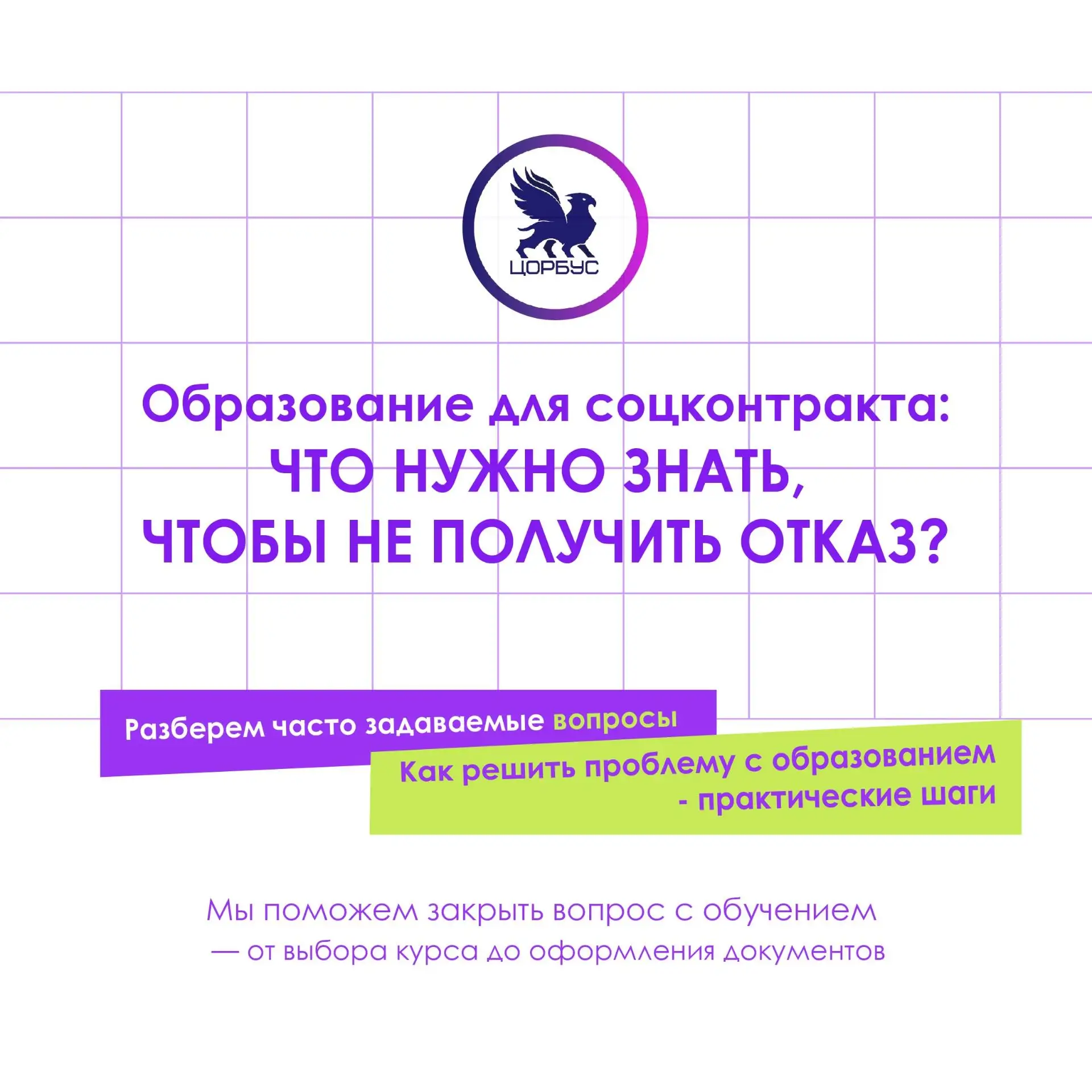 Образование для соцконтракта: что нужно знать, чтобы не получить отказ