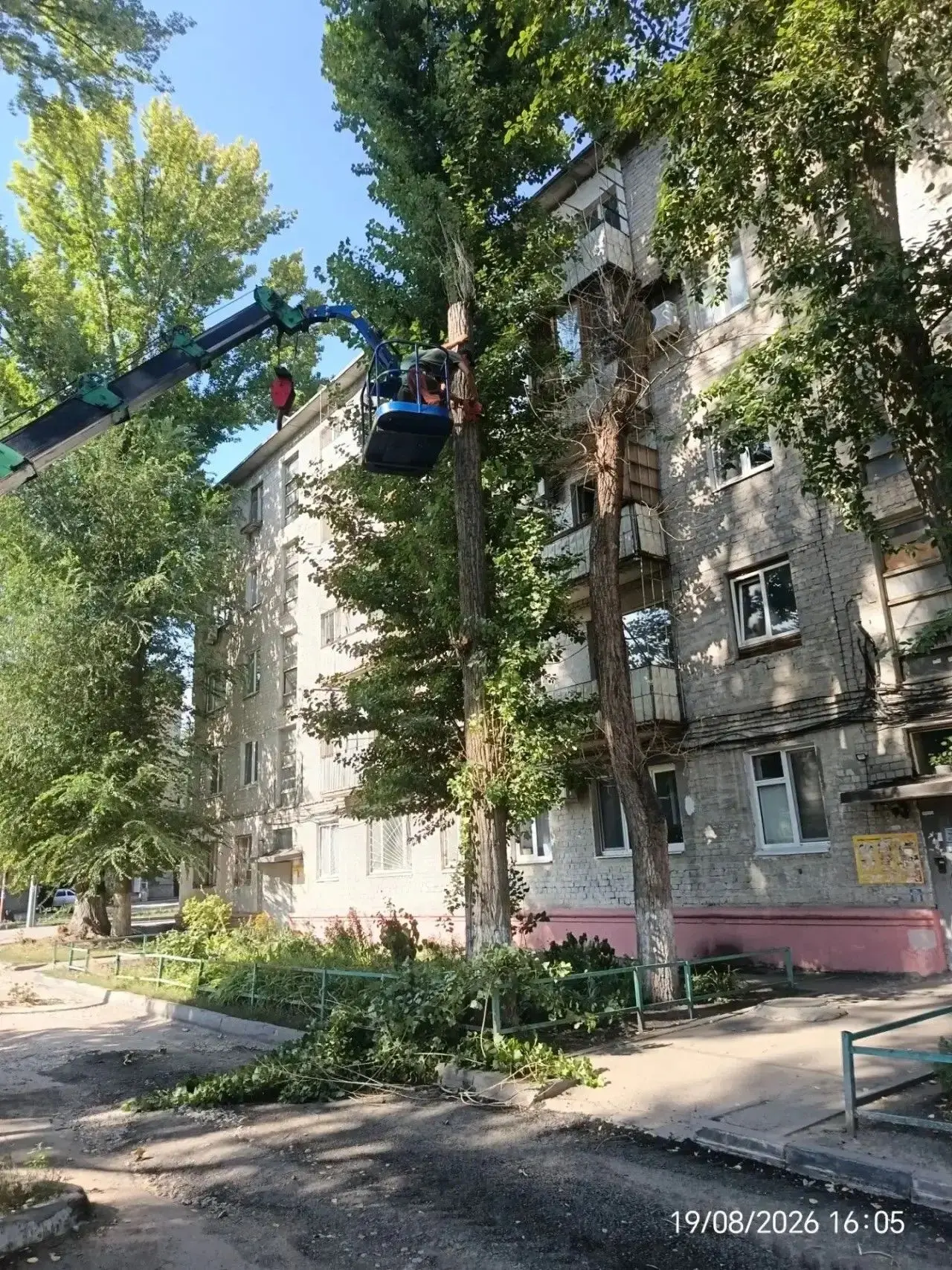 Также сегодня была произведена опиловка 3 деревьев по адресу: ул. Пономарева, д.15