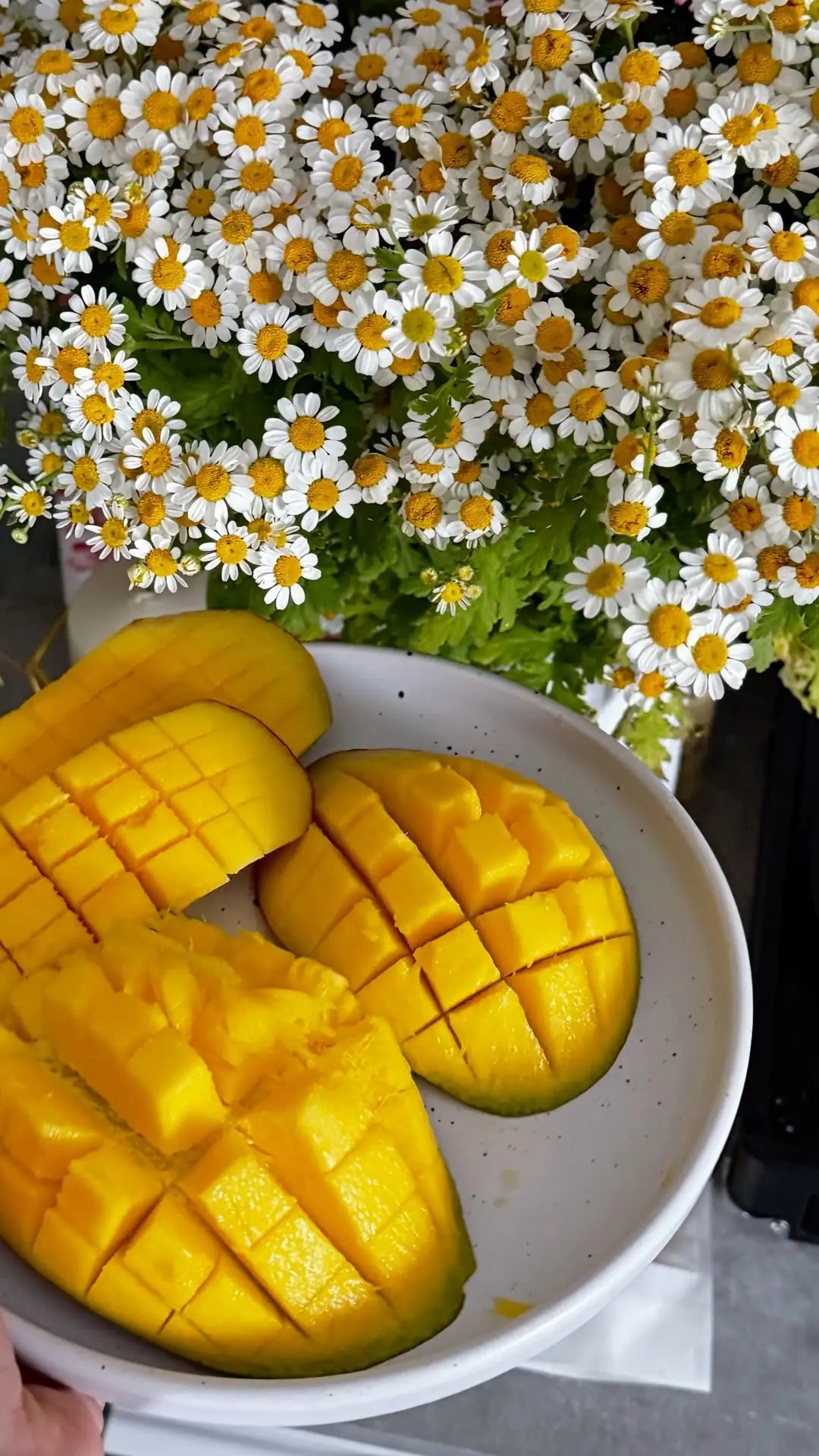 Мы работаем- всех ждём ❤️🥭🌰🫐🍒🥑