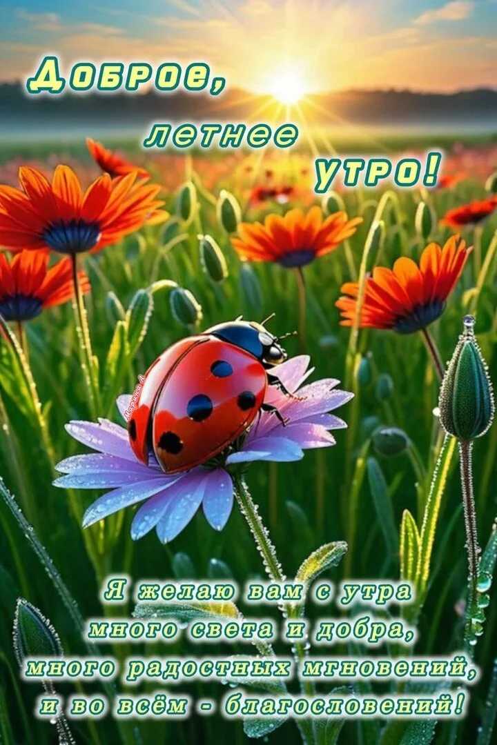 🌼Доброе утро дорогие родители и друзья!

❤️На пороге новая неделя, пускай она будет удачной и легко
