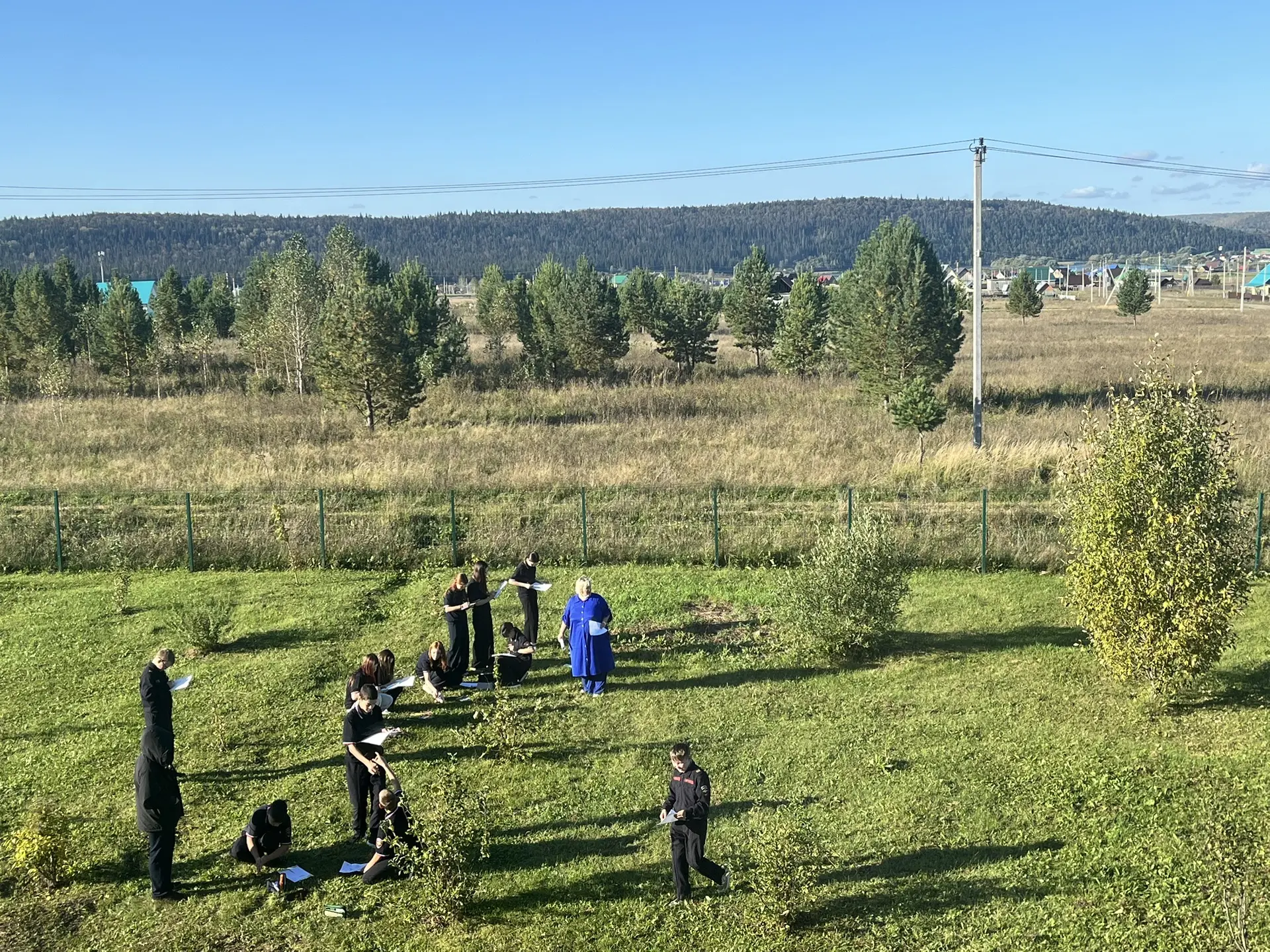 🎨 Образ дерева: путешествие в мир пейзажа! 🌿
