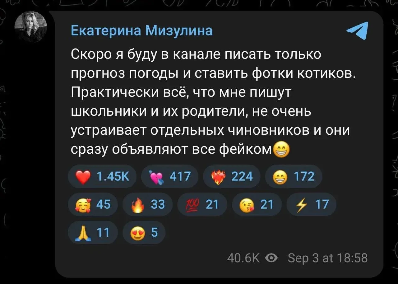 Екатерина Мизулина пожаловалась на цензуру в России