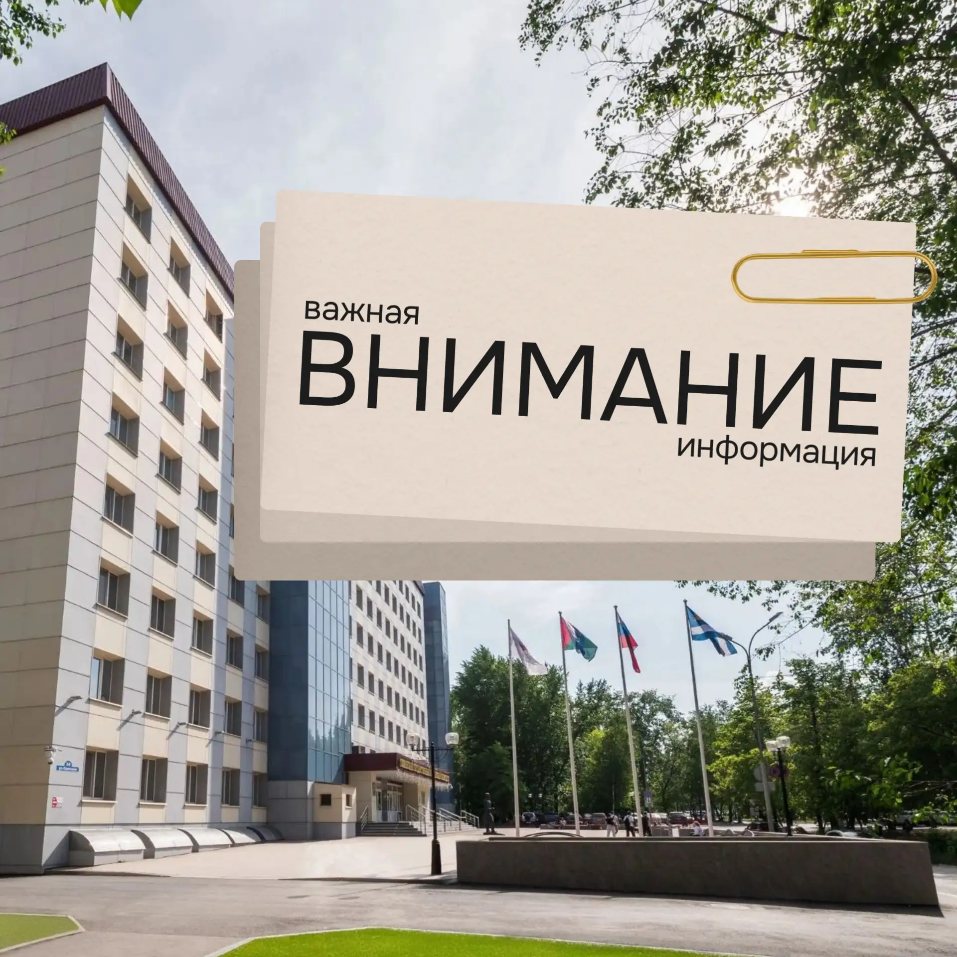 Дорогие первокурсники!
