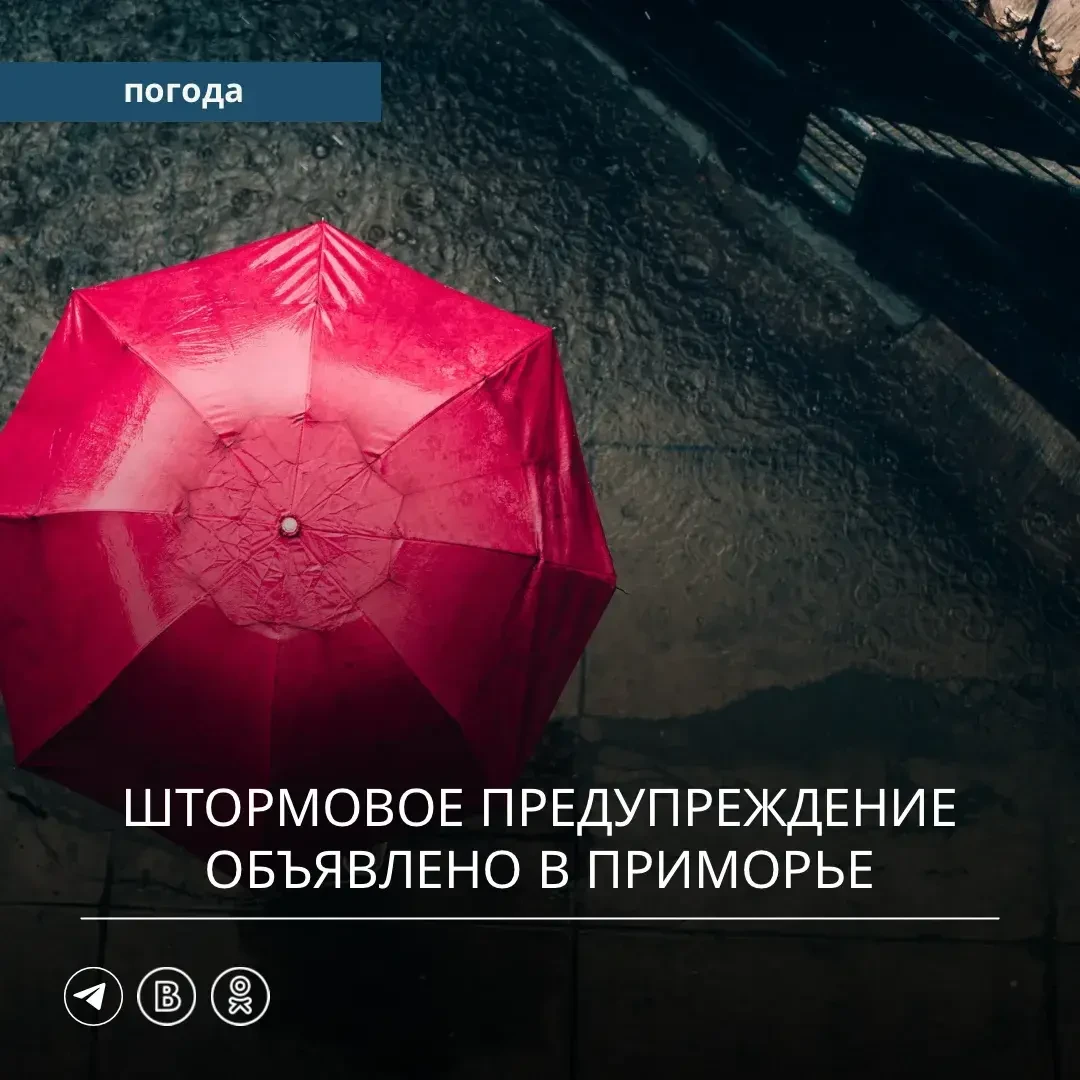🚨 В Приморье объявлено штормовое предупреждение