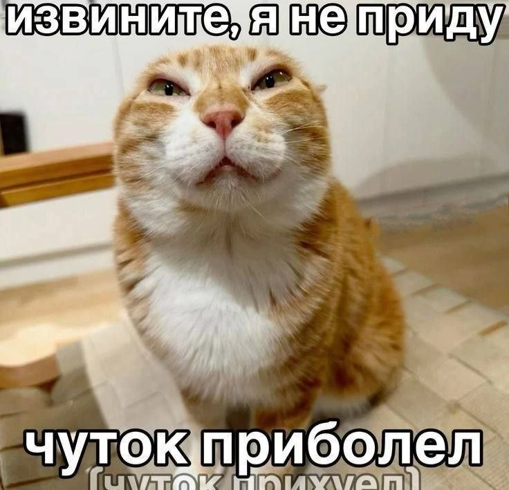 Если вы не хотите сегодня выходить на улицу, мы придумали для вас уважительную причину.  ▪Читайте ЖБ
