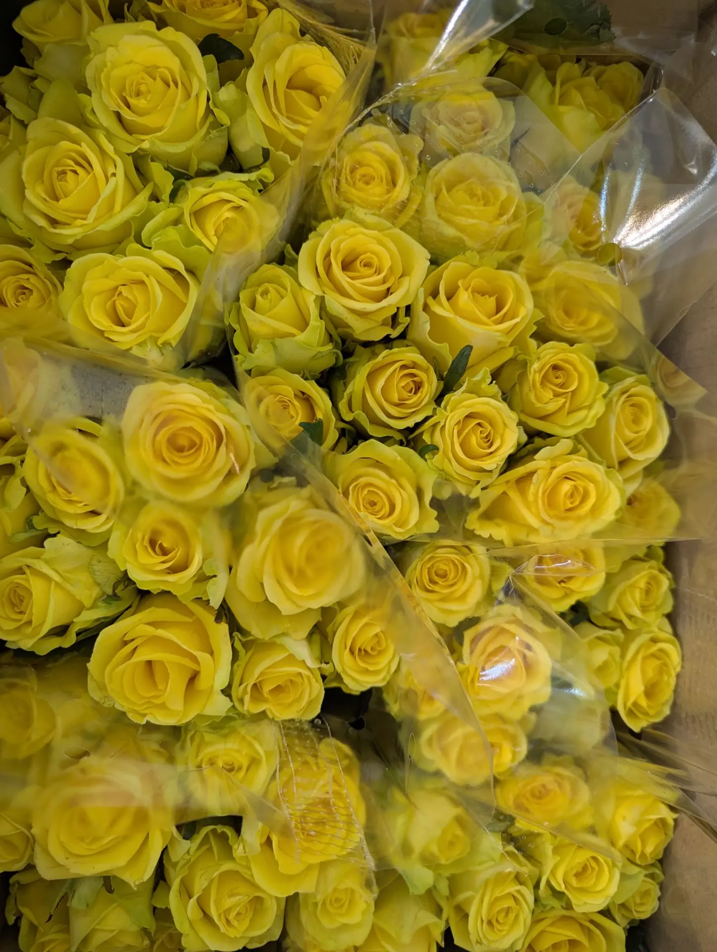 🔥Выгодная цена🔥
⠀
🌹 Розы пачками
• 50 см – 80₽/шт = 800₽/пачка
• 60 см – 90₽/шт = 900₽/пачка
• 70