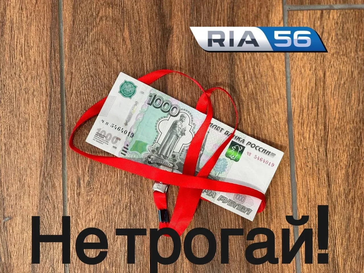 ❌ Не поднимайте это с земли: в Оренбуржье предупреждают об опасных «сюрпризах»