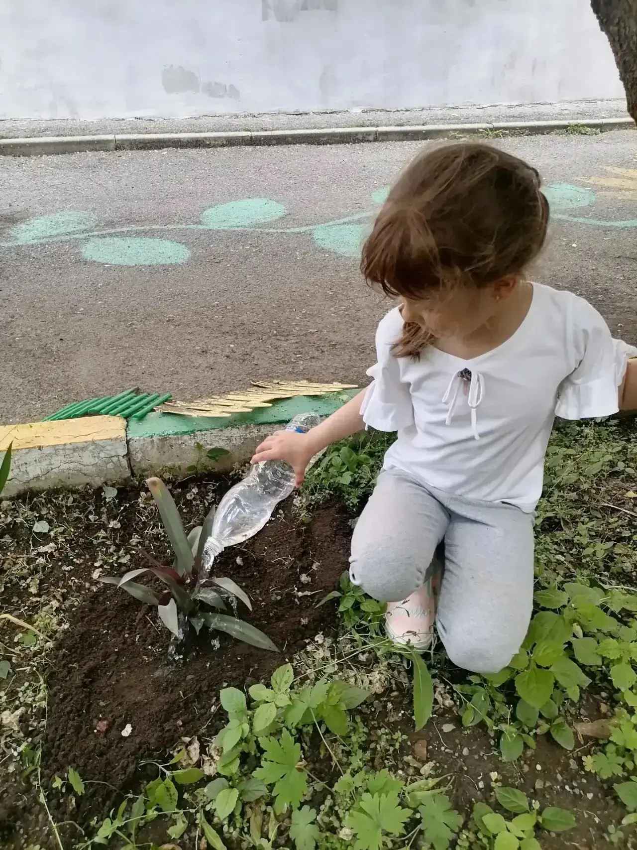 Приветствуем🙋🏼‍♀️ всех на нашей экологической смене🌸✨🌲☀️.
Спешим поделиться 💭с вами событиями и
