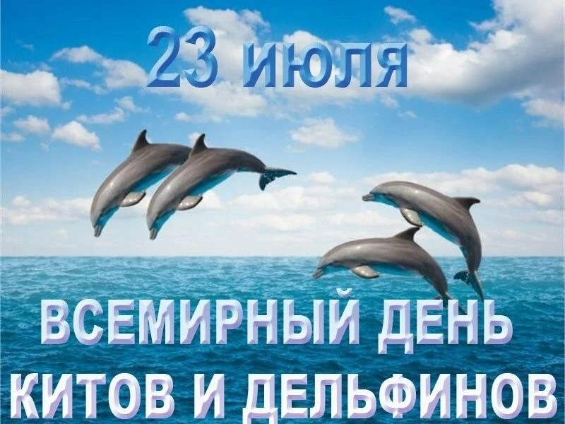 Всемирный день китов и дельфинов отмечается ежегодно 23 июля. Этот экологический праздн...