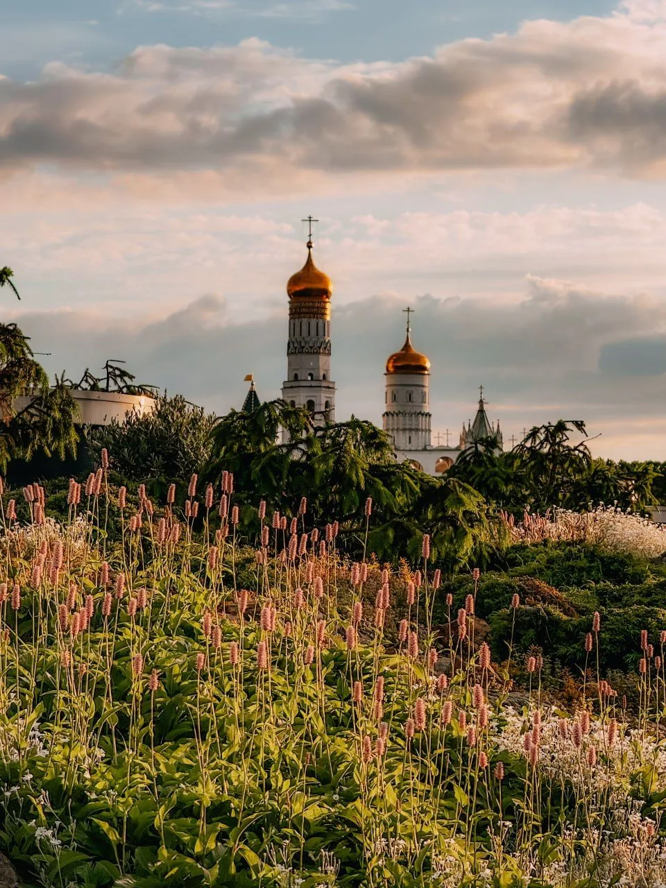 Летние деньки в Зарядье 🌿