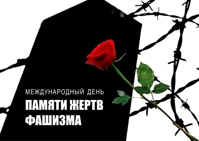 «Улица мирных окон»: Международный день памяти жертв фашизма в Жудерской школе