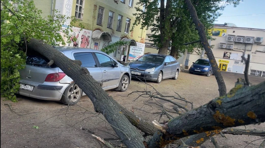 Дерево упало на машину на стоянке за центральным рынком. #Саранск  ✍️Подписаться на наш канал 👇👈