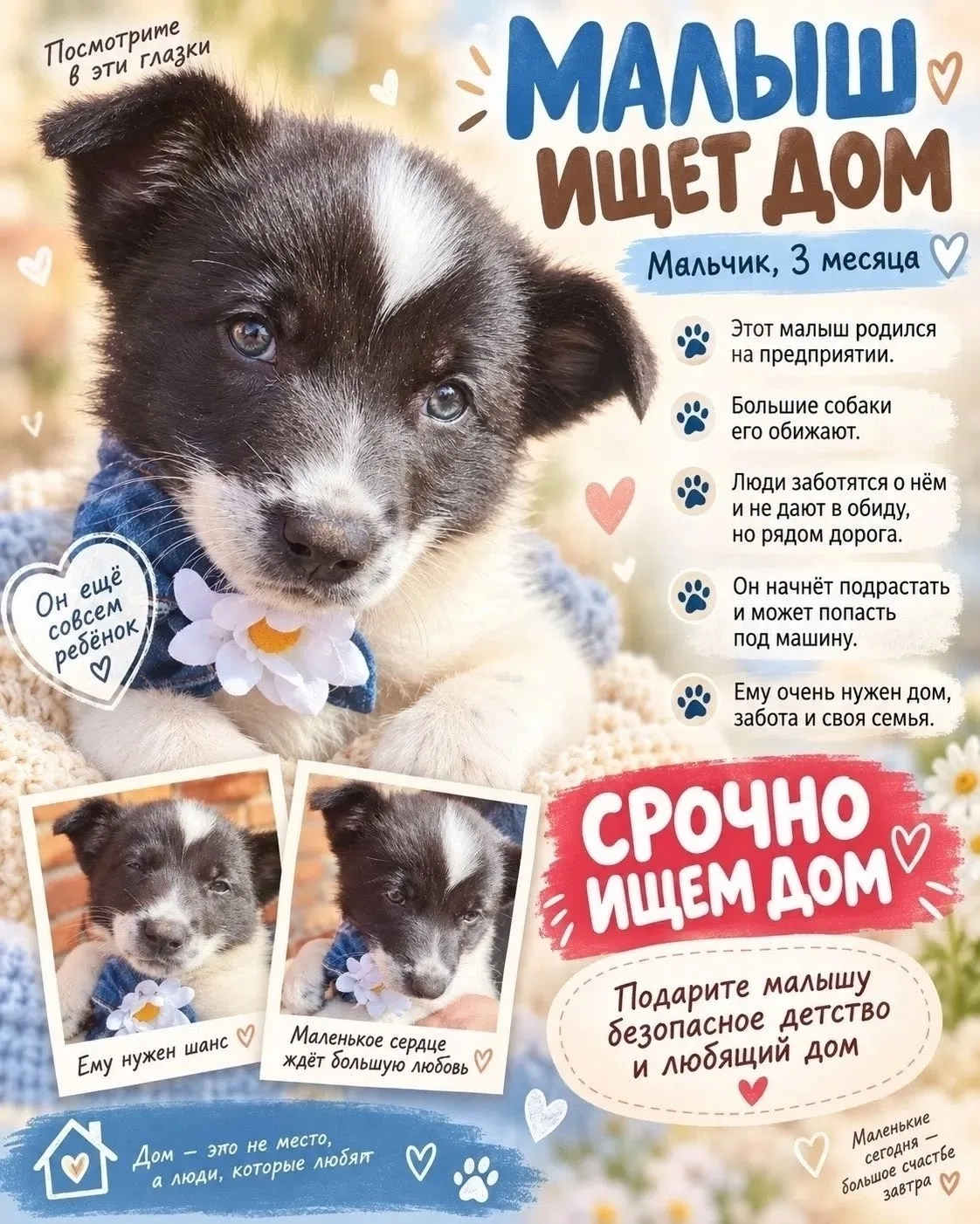 По Мишке нет звонков😞