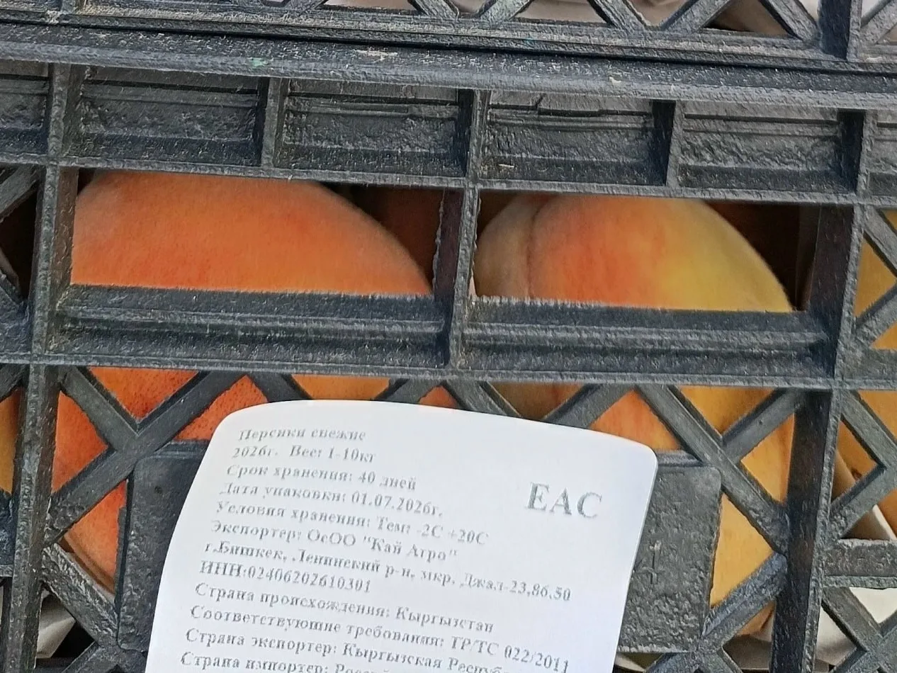 20 тонн персиков не пустили в Россию через границу с Челябинской областью🍑