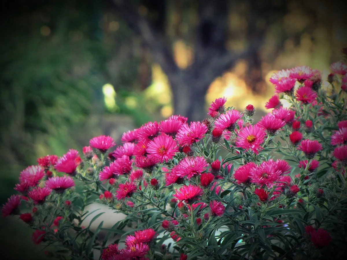 👋 С добрым утром, дорогие жители Новопсковского муниципального округа!