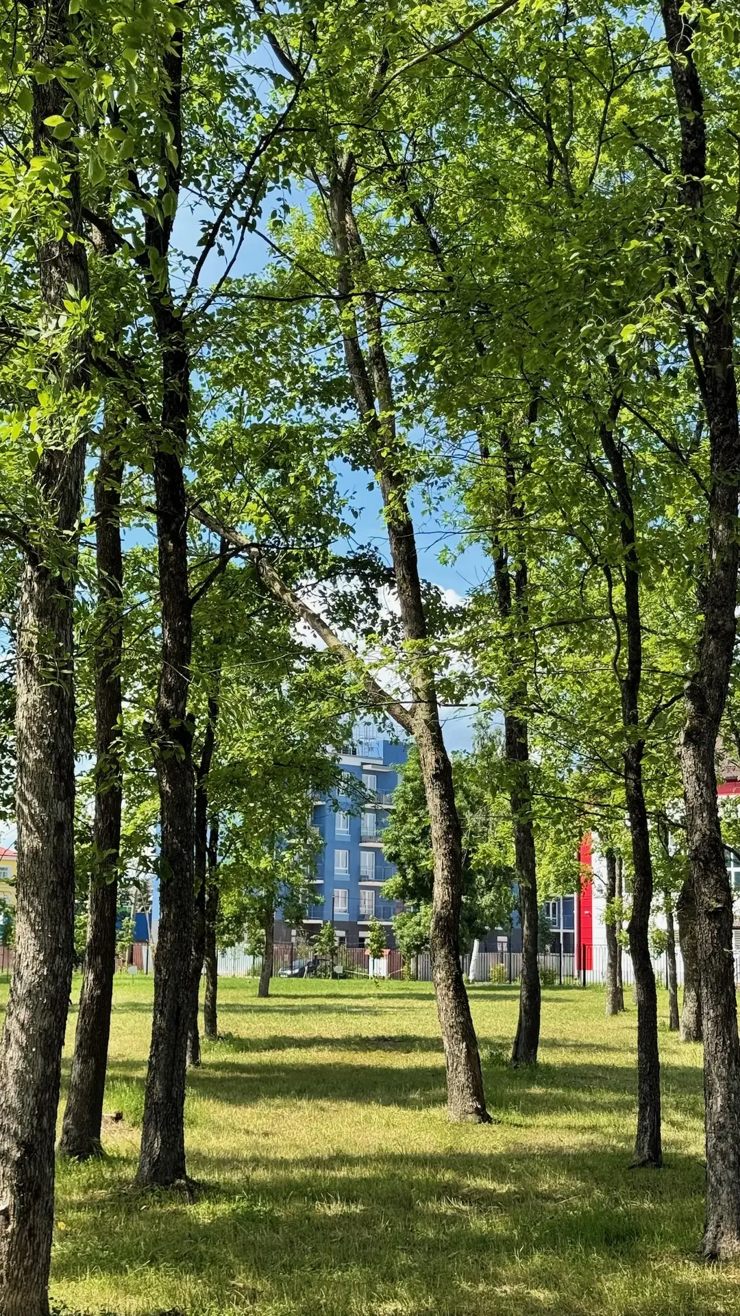 ☀️ Хоть за окном уже и осень, тёплые солнечные дни всё ещё радуют жителей Невской Дубро...