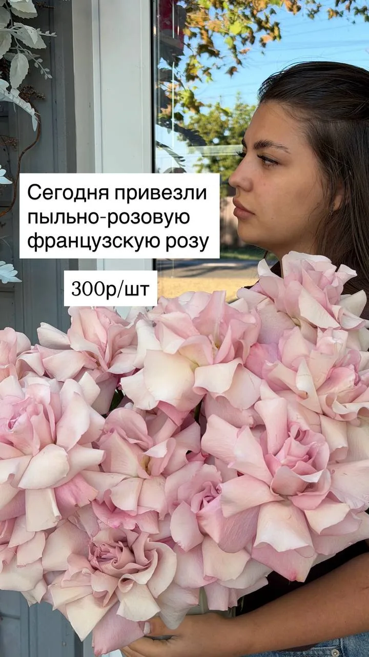 А ещё в наличии очень красивая и нежная французская Роза