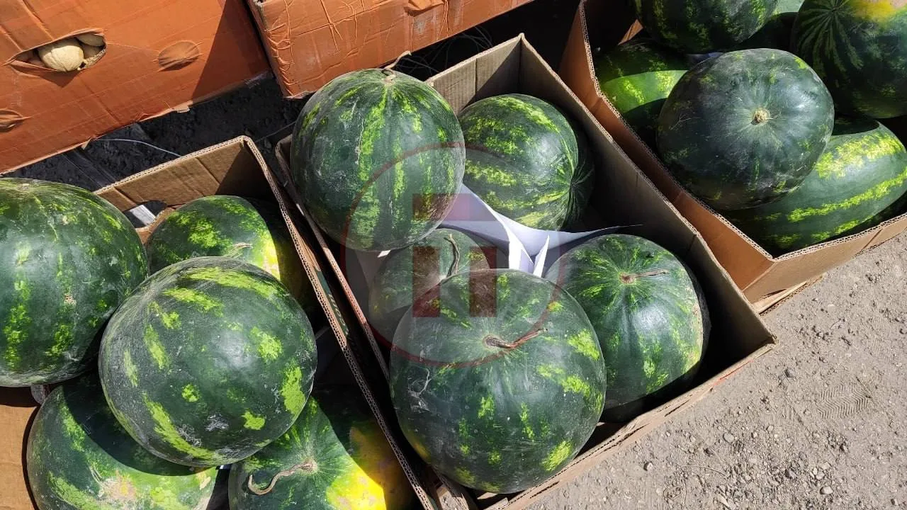 🍉 В Туле уже продают первые арбузы. Но стоит ли спешить с покупкой?

Несмотря на то что лето только
