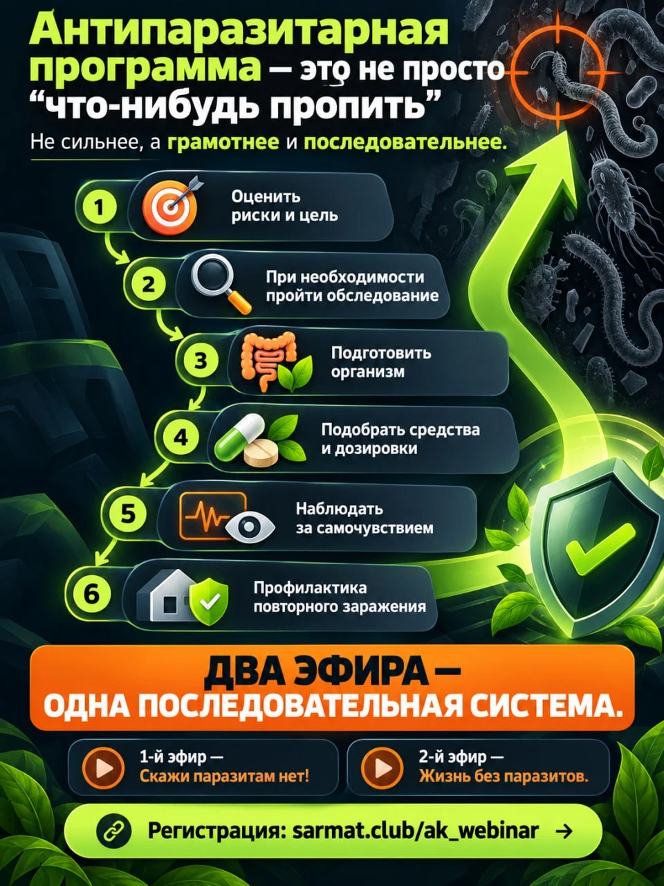 Антипаразитарная программа — это не просто «что-нибудь пропить»