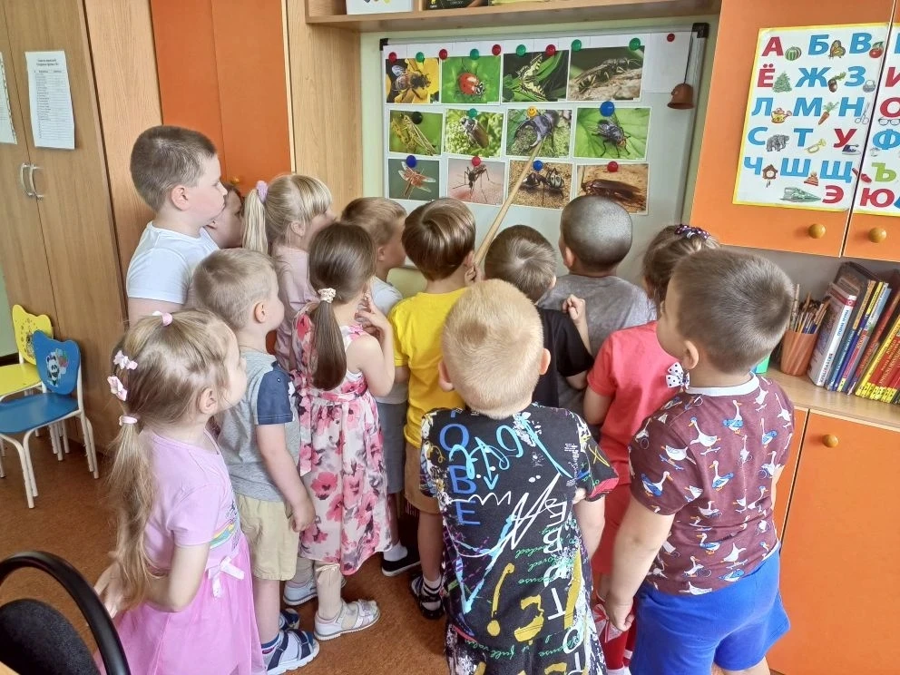 В подготовительной "А" и старшей "Б" группах прошла минутка безопасности "Осторожно! Насекомые!"
Мир
