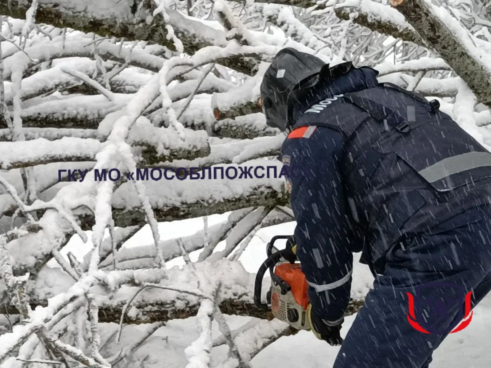 ❄️Оборванные провода, деревья на трассе. Спасатели продолжают ликвидировать последствия снегопада 🚨 
