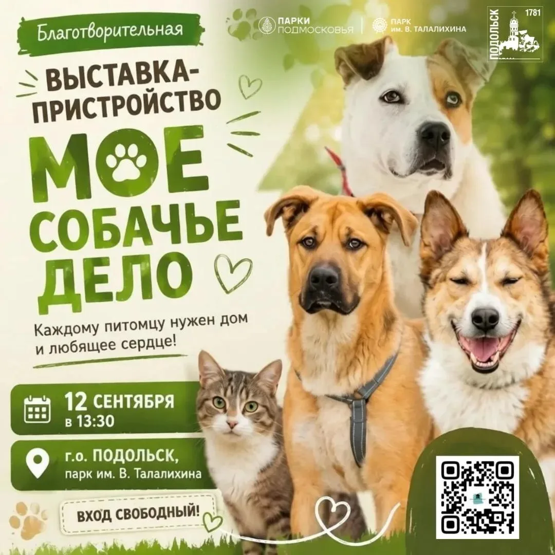 💙 В Подольске пройдёт благотворительная акция по поиску дома для питомцев из приюта «М...