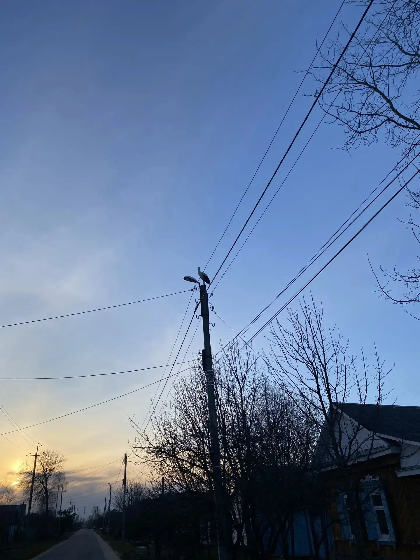 Новозыбков, спокойного и тихого вечера всем ❤️