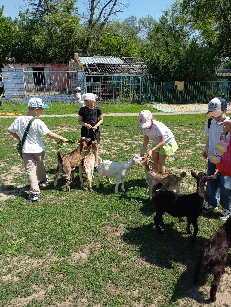 Окончание учебного года ученики 1 «А» класса отметили чудесной поездкой на экоферму  «Вертячий». Дет