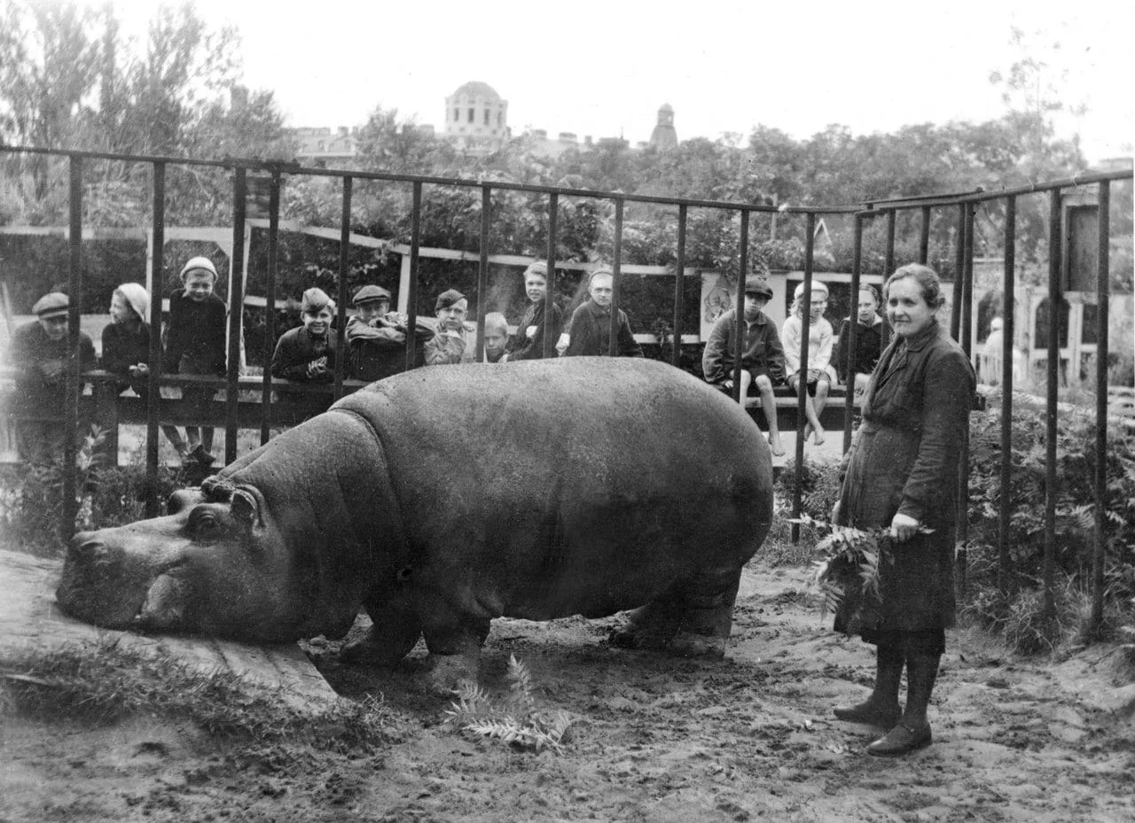 Знаете это чувство, когда после титров фильма хочется сразу залезть в интернет и прочитать: «А как б