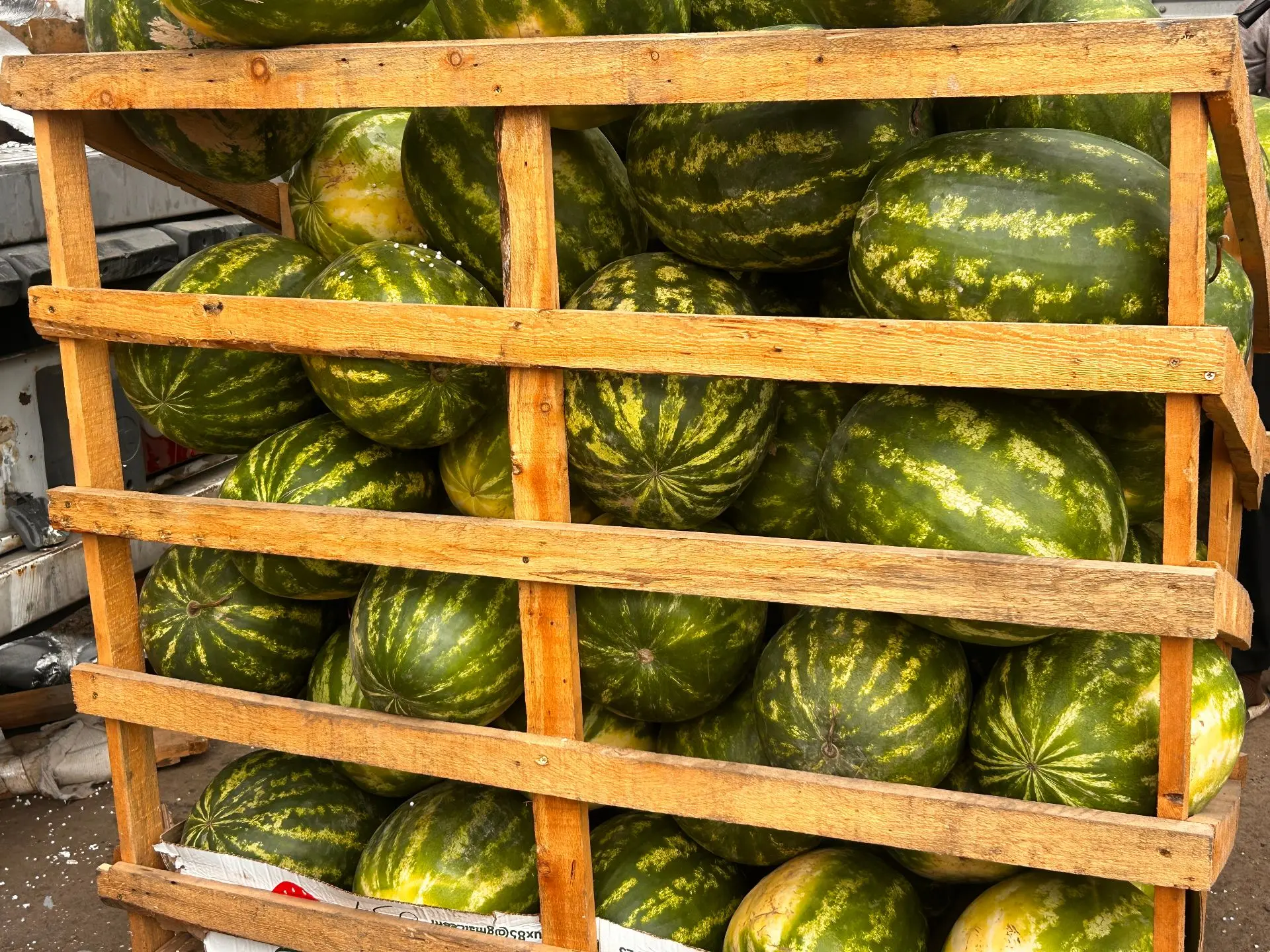 🍉🍉В Красноярский край арбузов ввезено в 2,5 раза больше, чем в прошлом году
 
В Красноярском крае 
