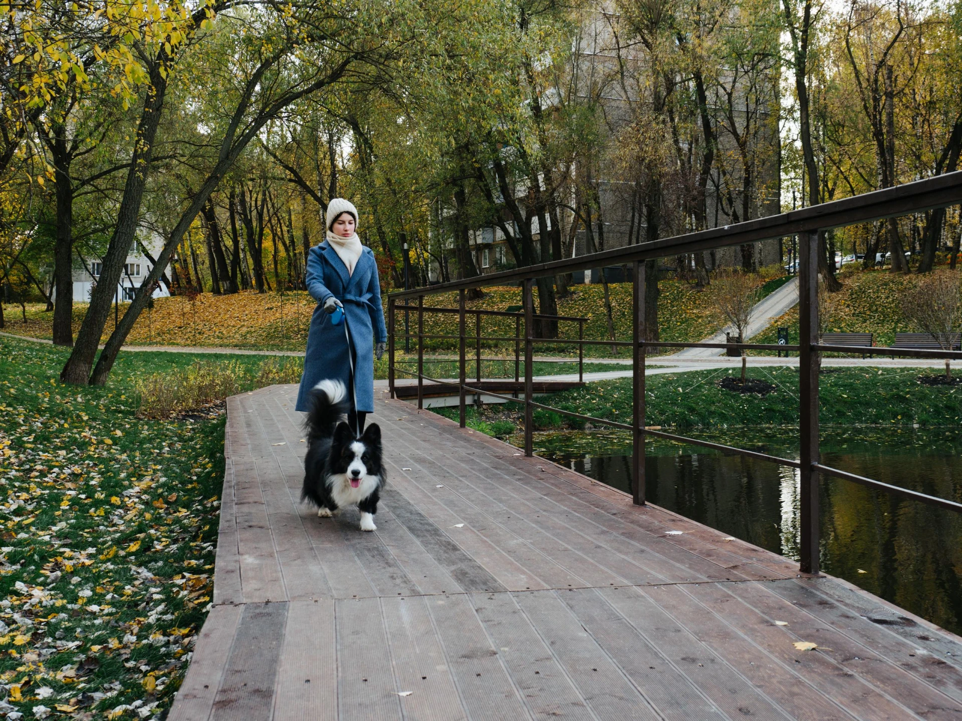 🍂 Соседка гуляет по дорожке на Корнеевских прудах в Царицыно