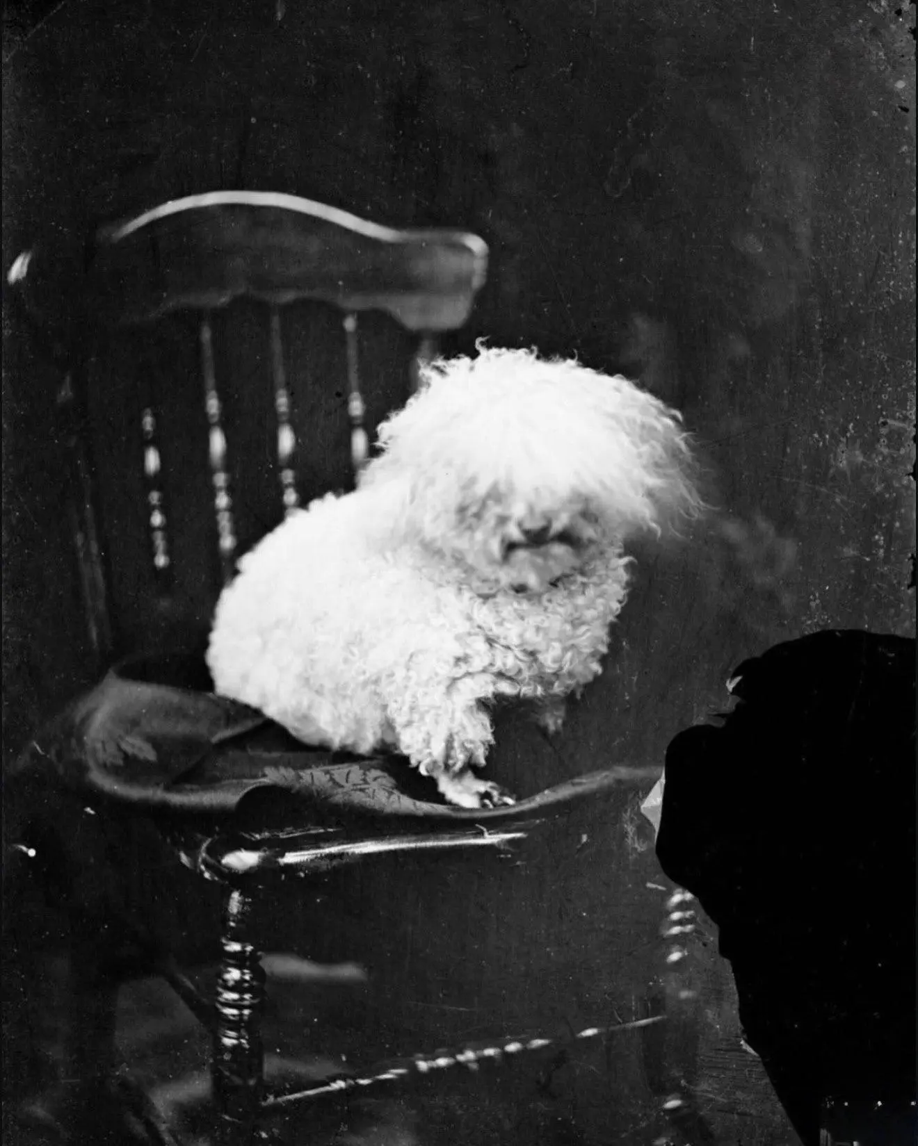 Этим фотографиям 150 лет