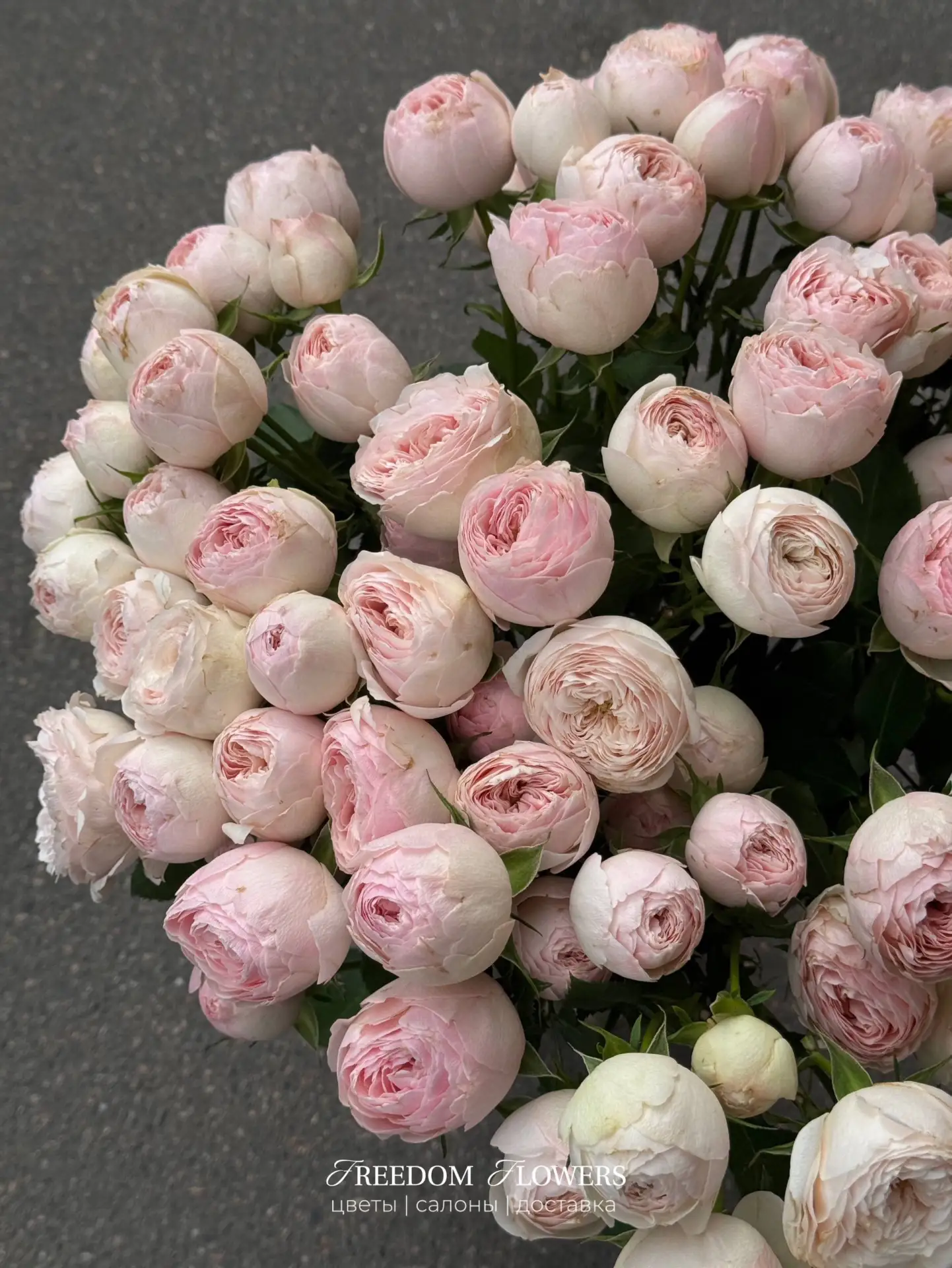 Почему кустовая пионовидная роза - один из самых популярных запросов в Freedom Flowers?
