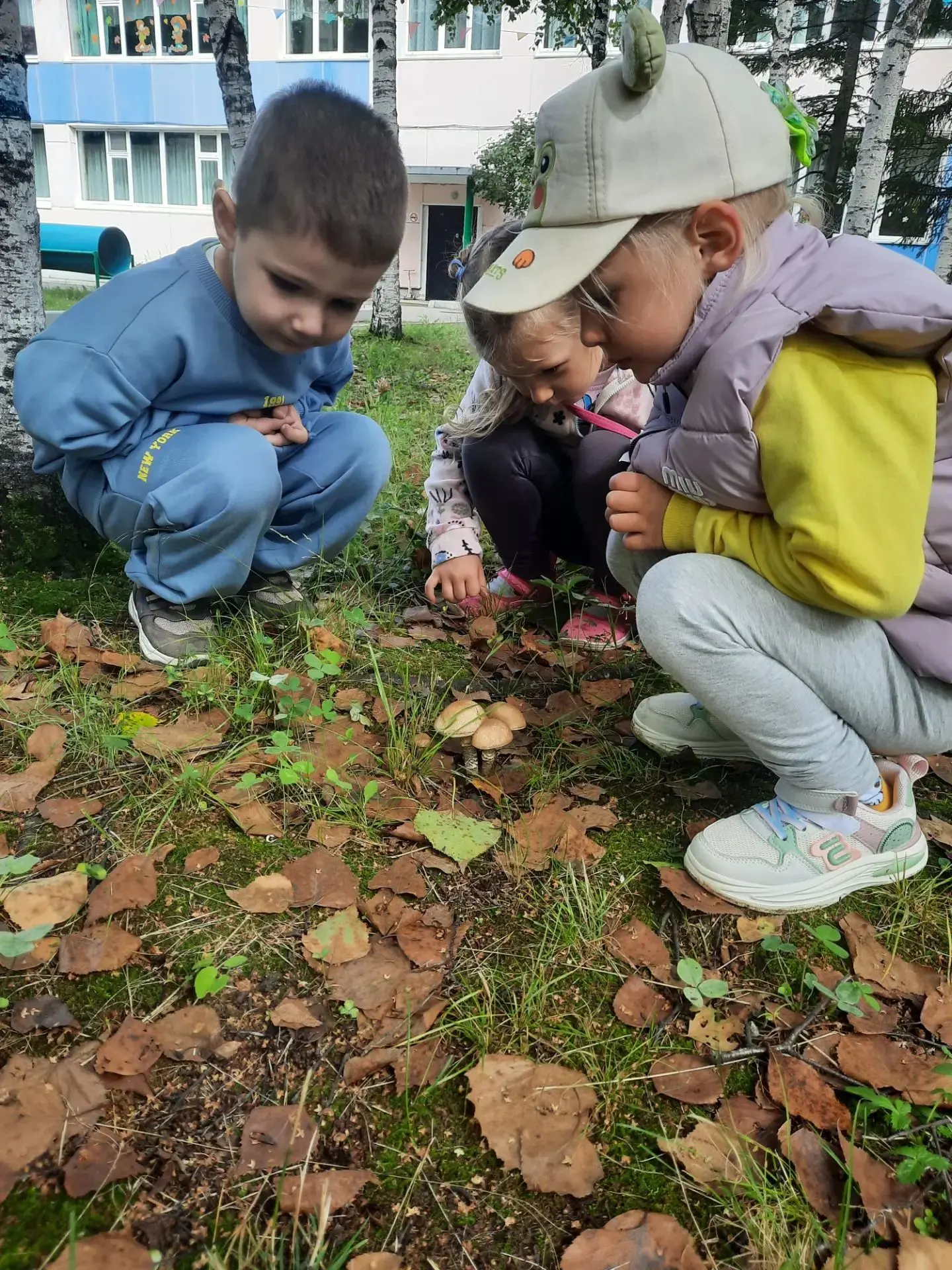 🍁🍂 Грибная пора продолжается! 🍄✨